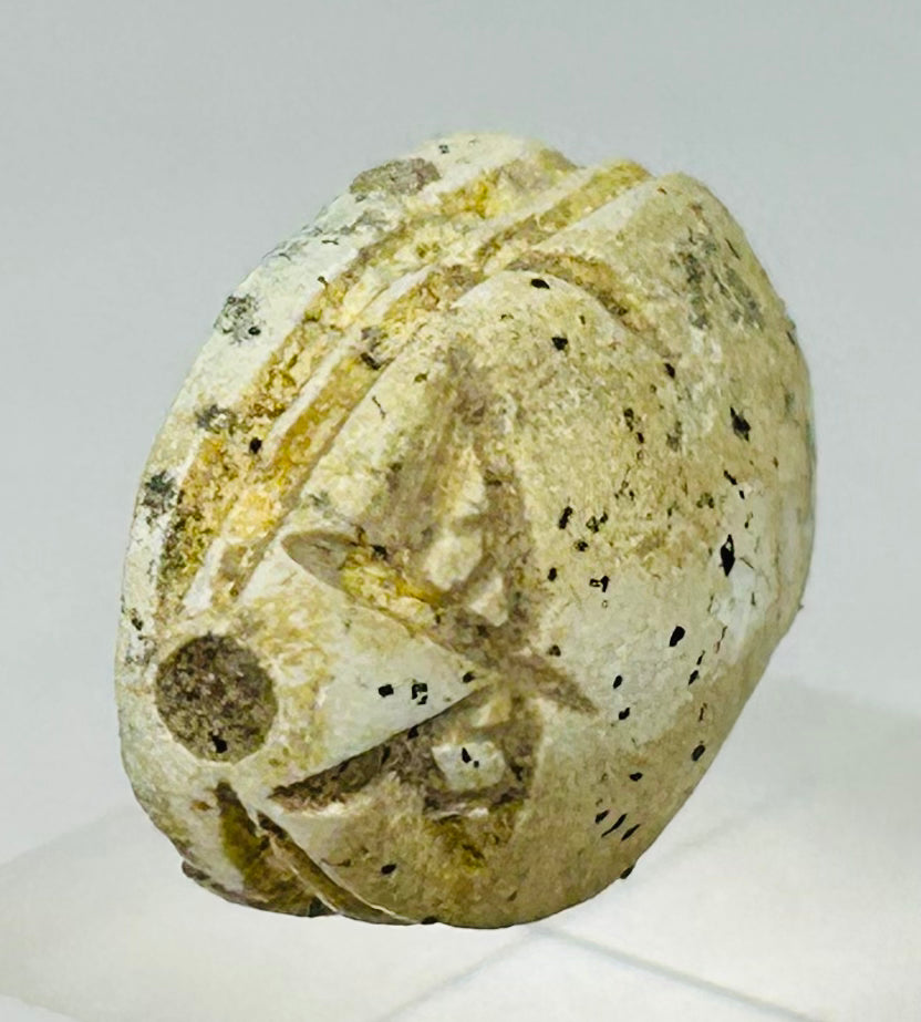 Archaeological Egyptian scarab amulet photographed against neutral background