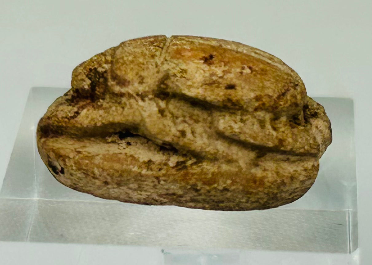 Close-up of Egyptian scarab showing detailed wing segmentation and beetle body carving