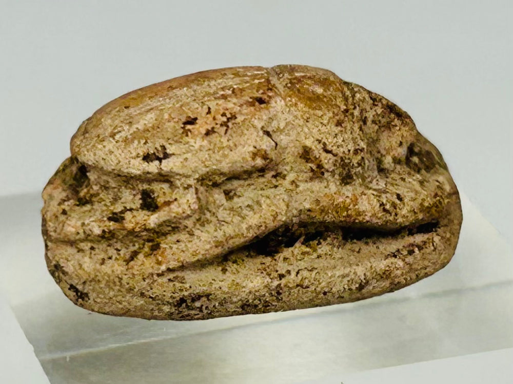 Three-quarter angled view of ancient Egyptian scarab with warm desert-toned patina