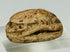 Three-quarter angled view of ancient Egyptian scarab with warm desert-toned patina