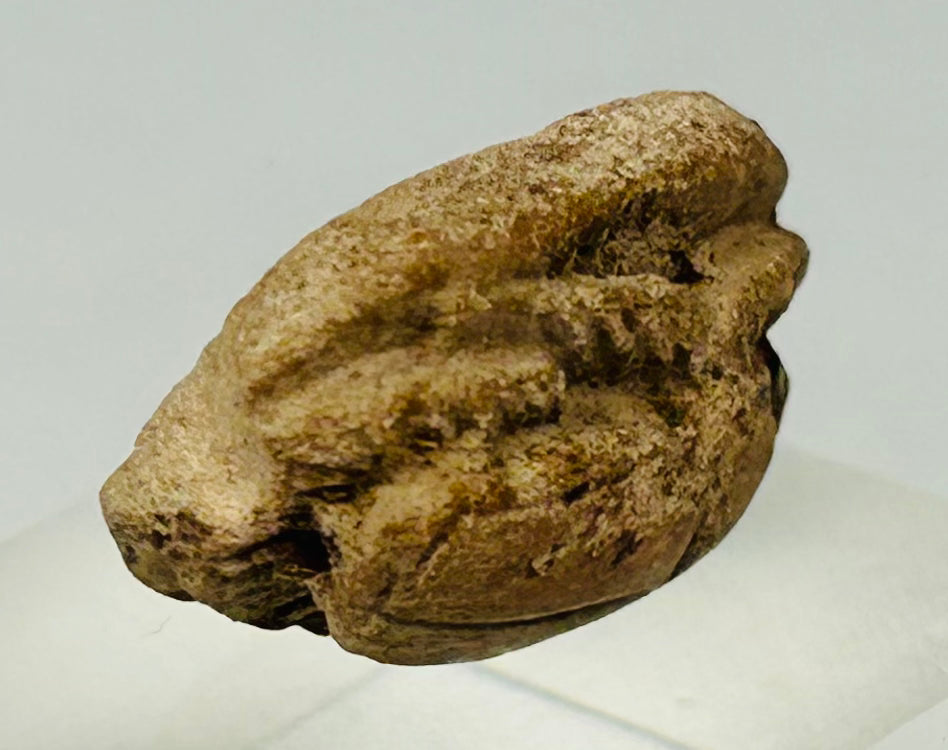 Archaeological Egyptian scarab amulet photographed against a neutral background