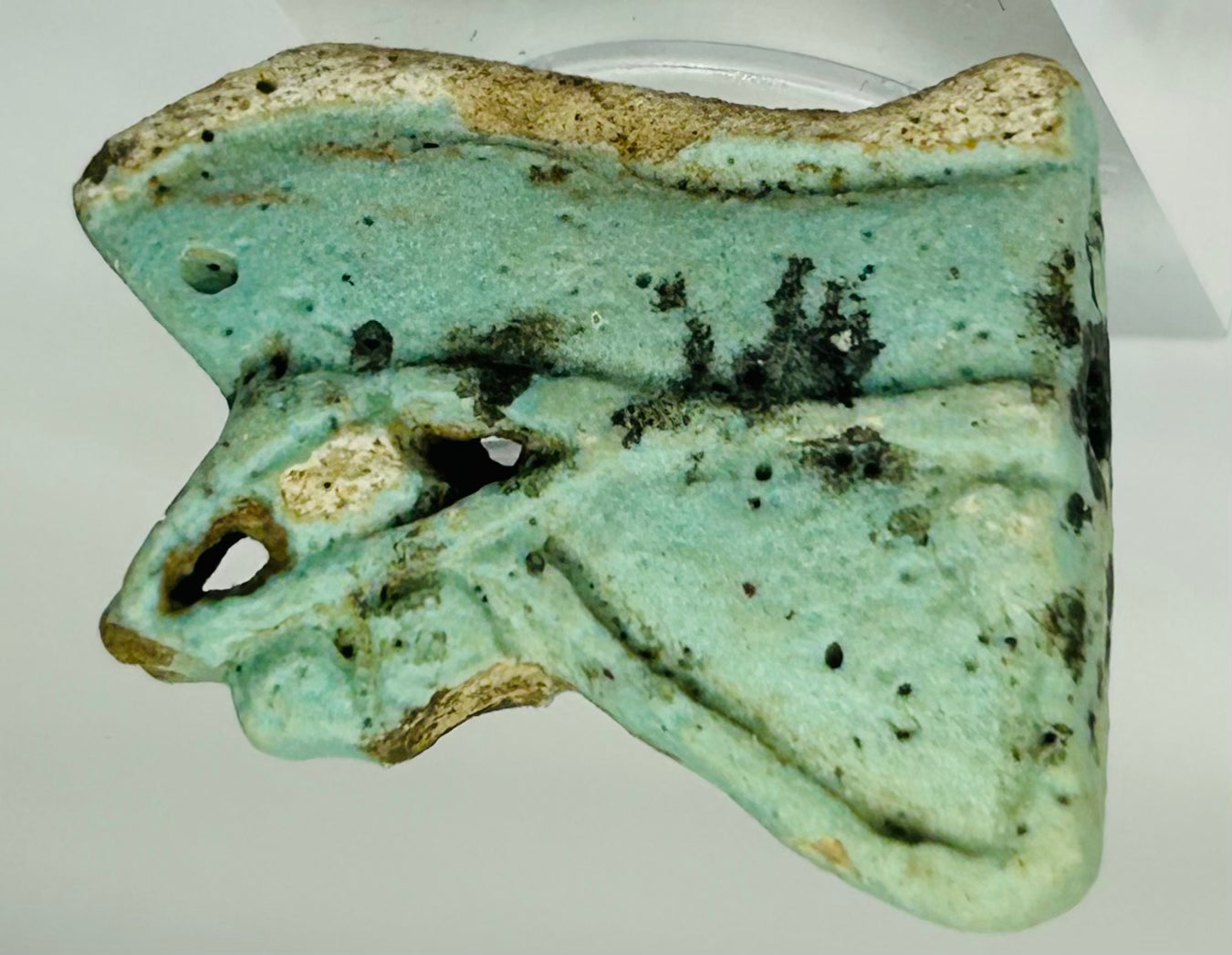 Close-up of authentic Late Period Egyptian Wedjat eye faience amulet showing pierced suspension channel