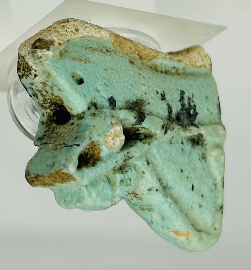 Ancient Egyptian Eye of Horus wedjat amulet fragment with surface encrustation and glaze wear