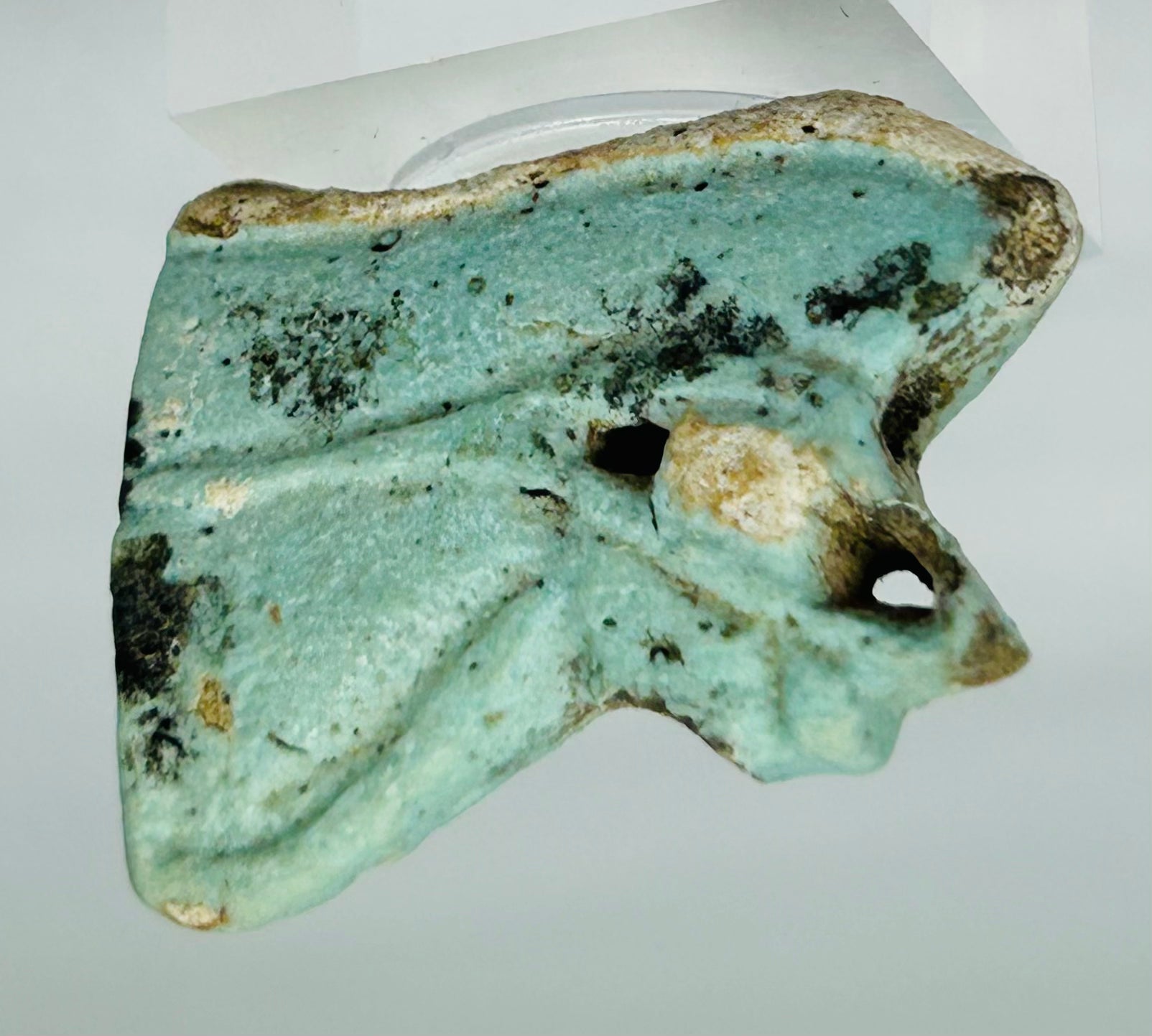Blue faience Eye of Horus amulet fragment with visible ancient surface textures