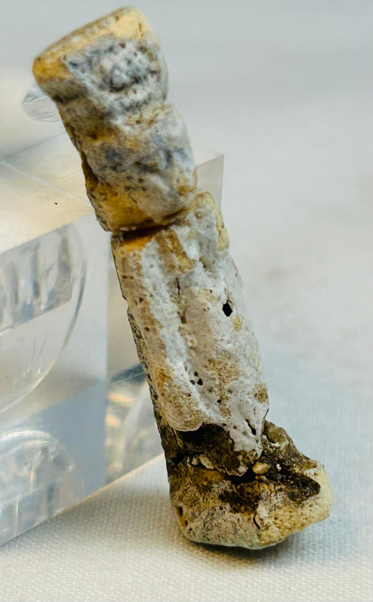 Macro photograph highlighting mineral deposits and aged surface of Egyptian amulet.