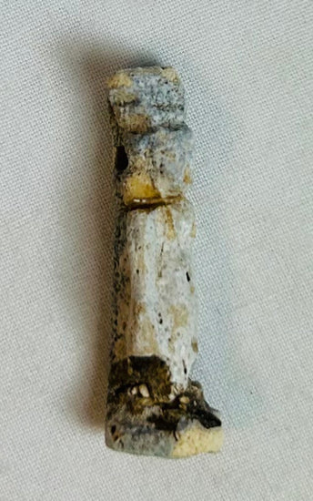 Back view of Egyptian faience amulet with mineralization and burial adhesion visible.