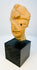 Side profile of ancient West Mexican terracotta head with visible age wear