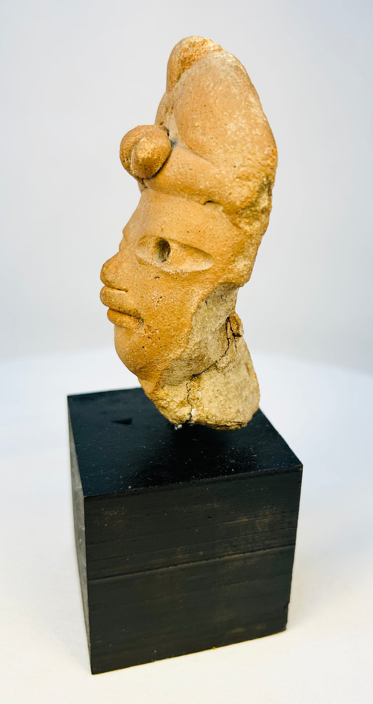 Pre-Columbian Nayarit/Jalisco style terracotta head fragment on display mount