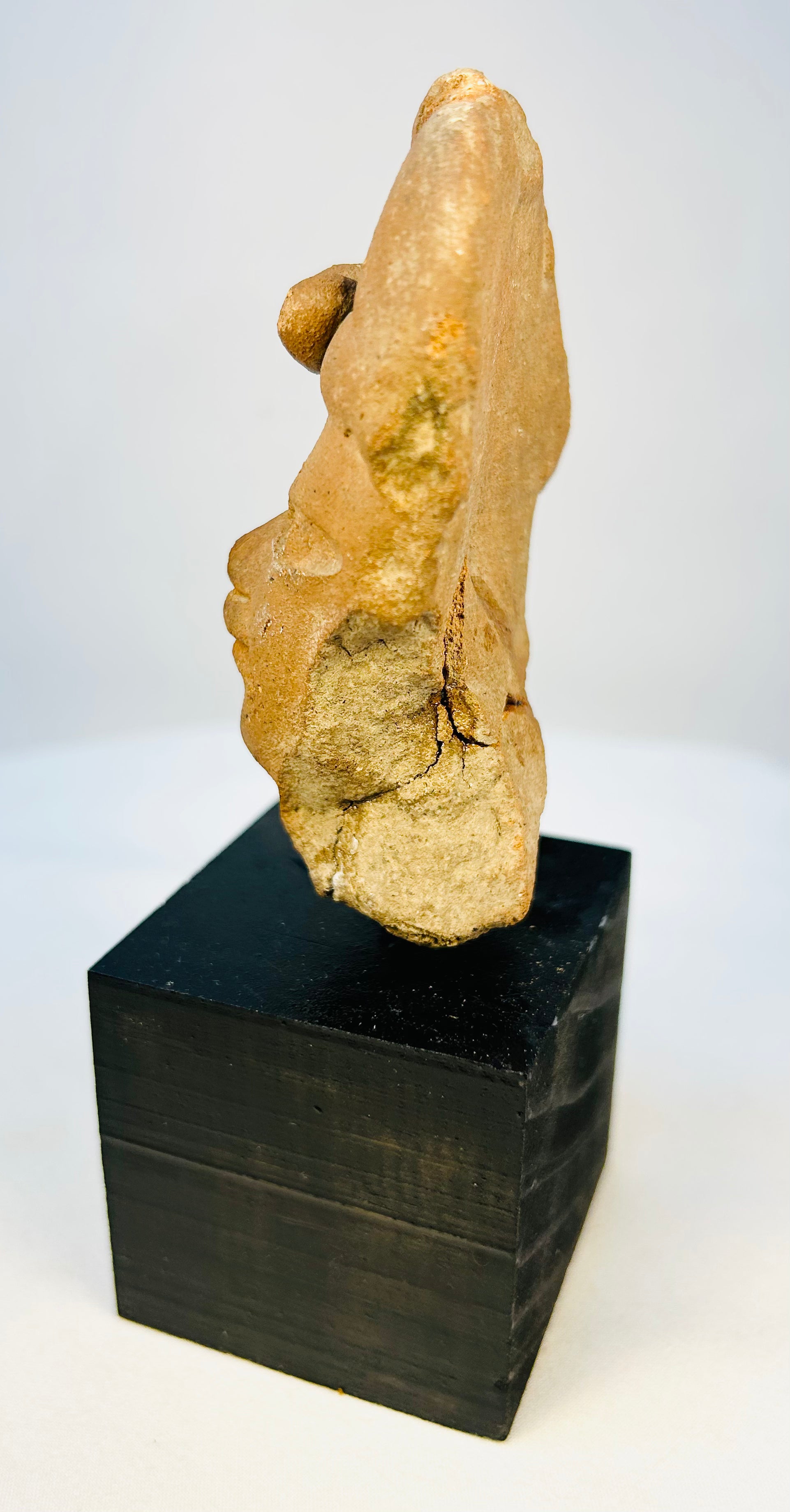 Oblique angled view of Pre-Columbian terracotta head highlighting sculptural form