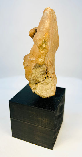 Oblique angled view of Pre-Columbian terracotta head highlighting sculptural form