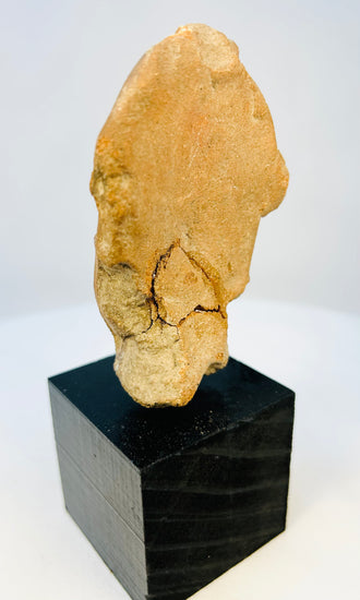 Back view of ancient terracotta figure head showing original breakage and patina