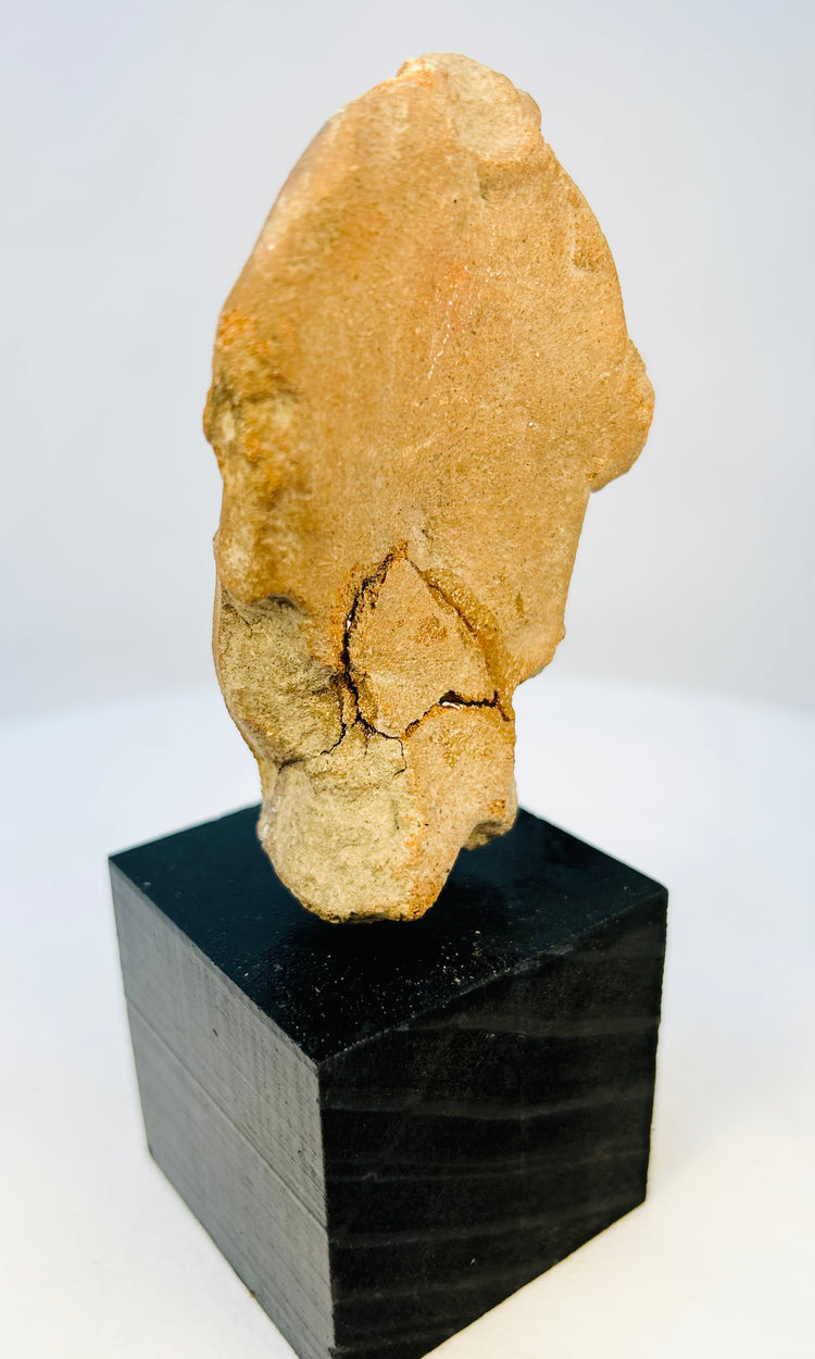 Back view of ancient terracotta figure head showing original breakage and patina
