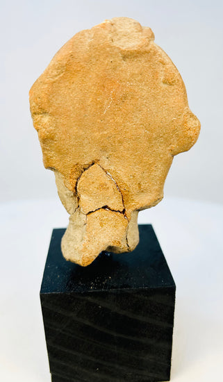 Rear view of ancient terracotta figure head showing original breakage and patina