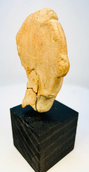 Backside view of ancient terracotta figure head showing original breakage and patina