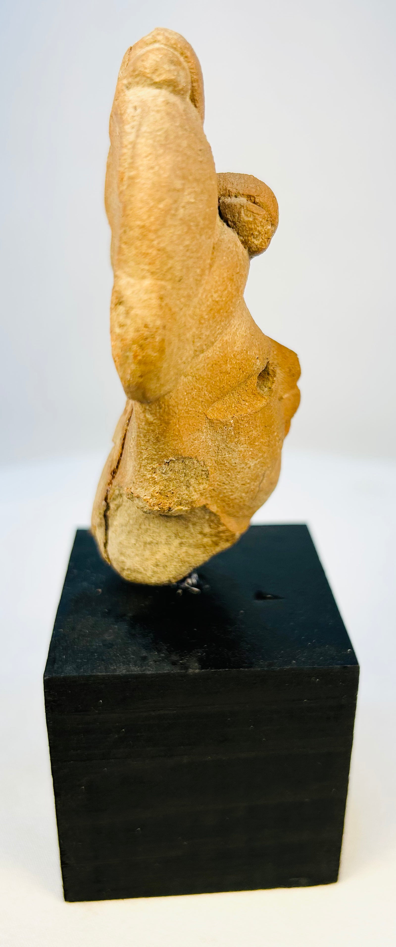 Left side view of ancient terracotta Mesoamerican figure head on museum base