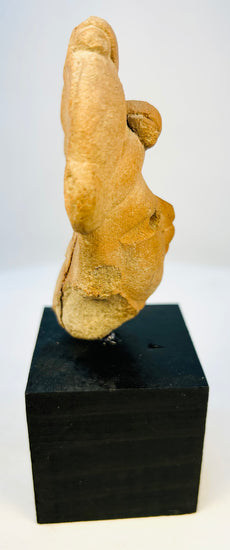 Left side view of ancient terracotta Mesoamerican figure head on museum base