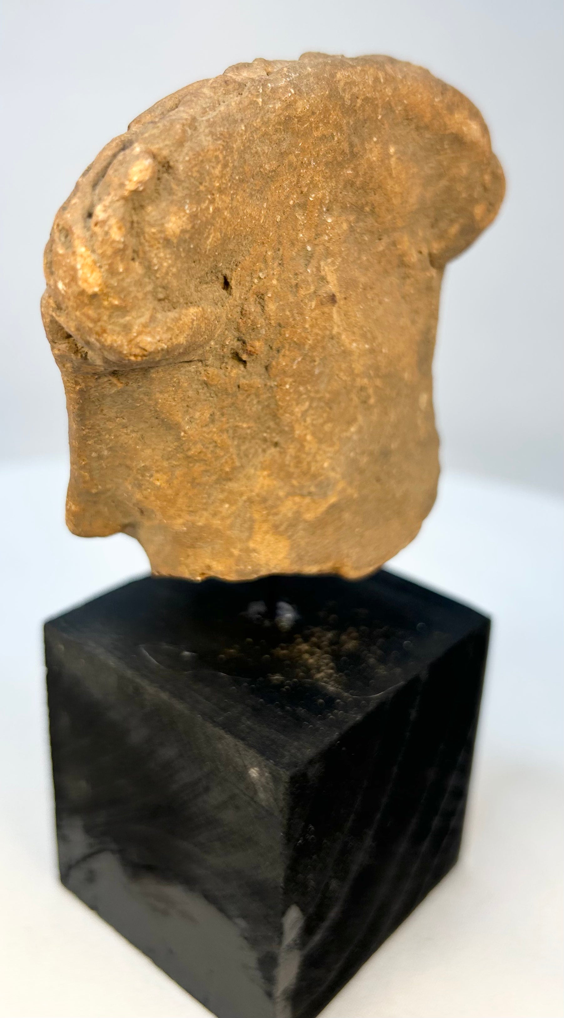 Pre-Columbian ceramic head with detailed braided hair and facial features