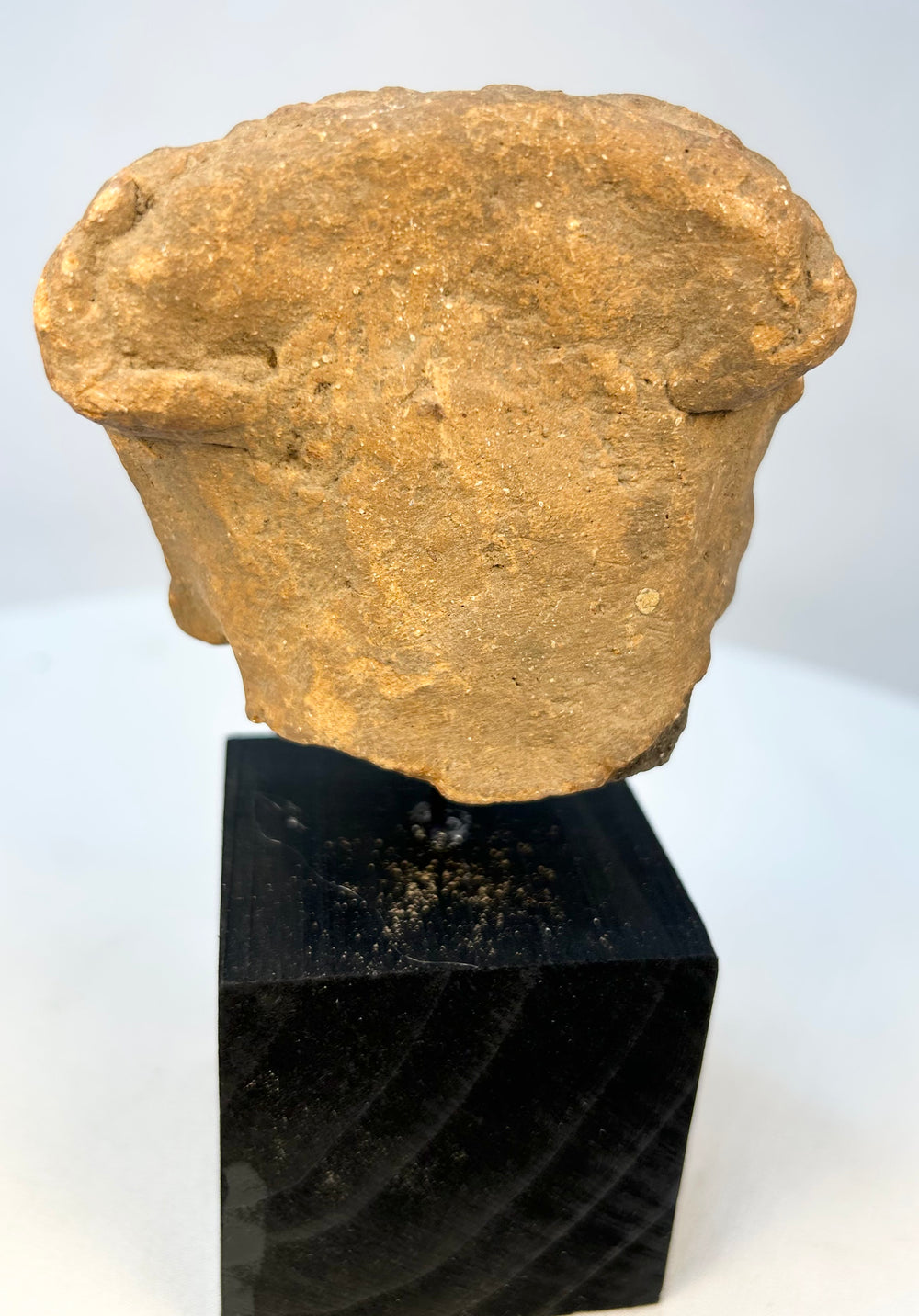 West Mexican terracotta anthropomorphic head artifact on black stand