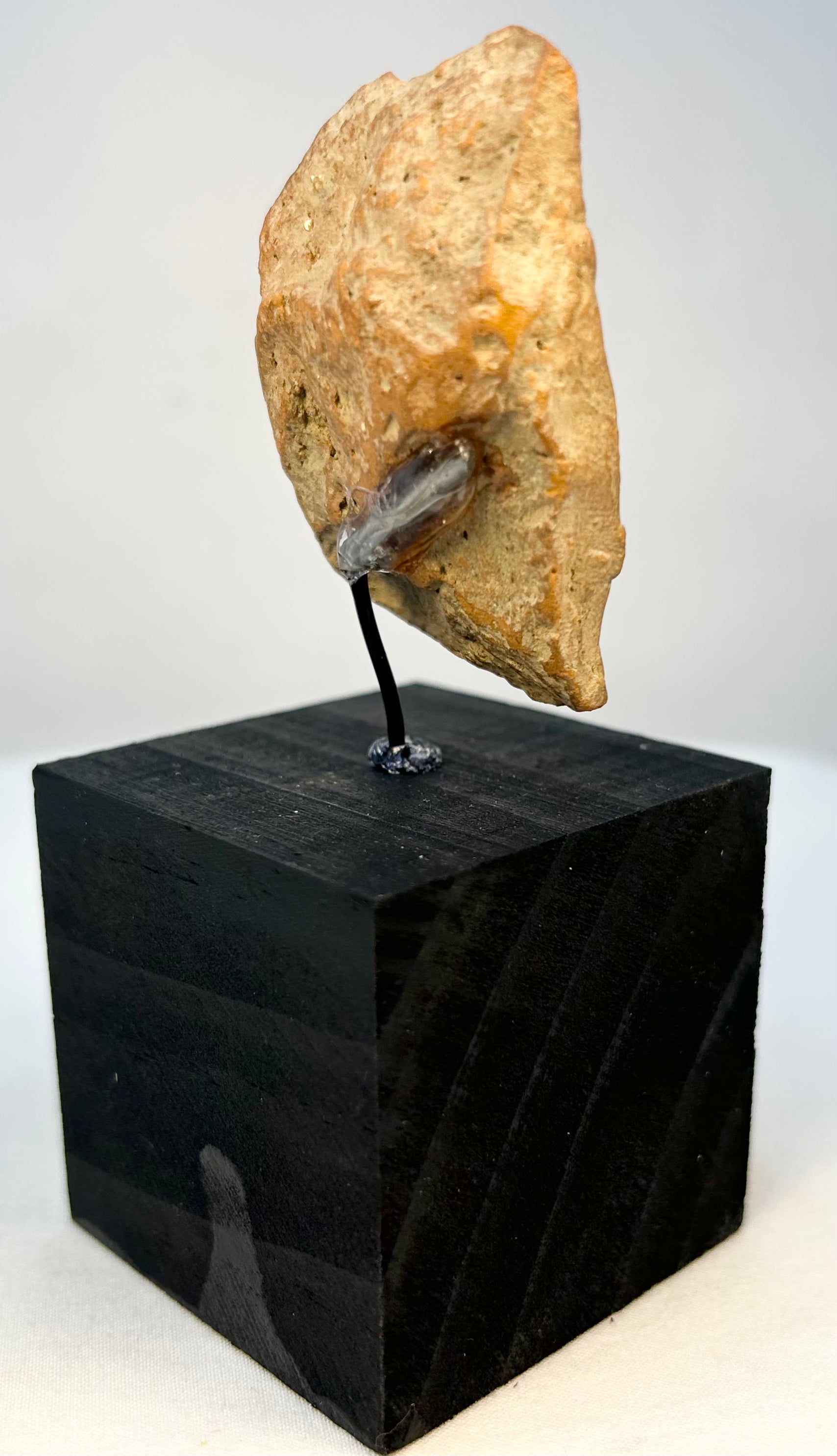 Rear side view of classical terracotta head relic displayed on black pedestal stand