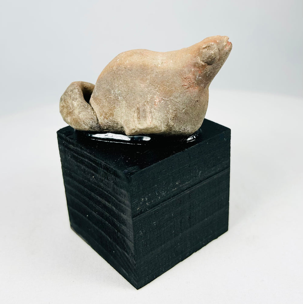 Pre-Columbian West Mexican terracotta effigy sculpture of a small animal with smooth earthen surface and ceremonial patina