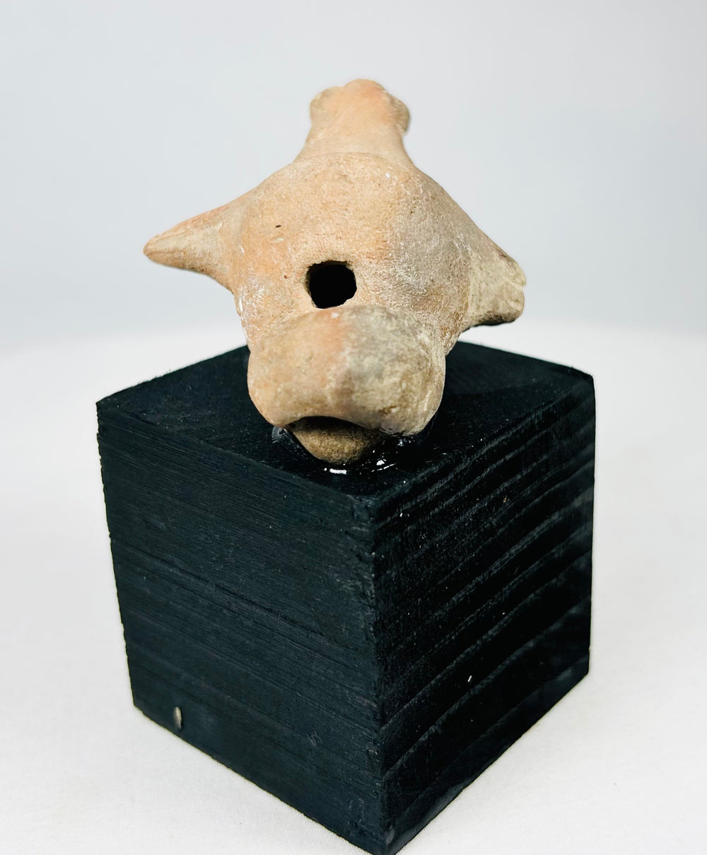 Pre-Columbian clay zoomorphic ritual effigy with forward snout, rounded body, and piercings associated with ceremonial function