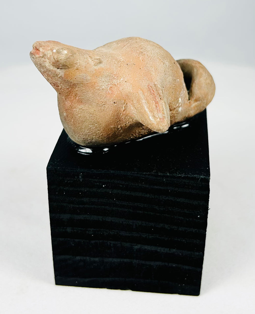 Authentic ancient West Mexico terracotta effigy figure representing symbolic animal spirit companion with archaeological patina