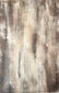 Museum-style decorative architectural salvage piece with ornate carving and historic patina