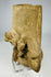 Ancient West Mexican terracotta head with earspools and facial detail