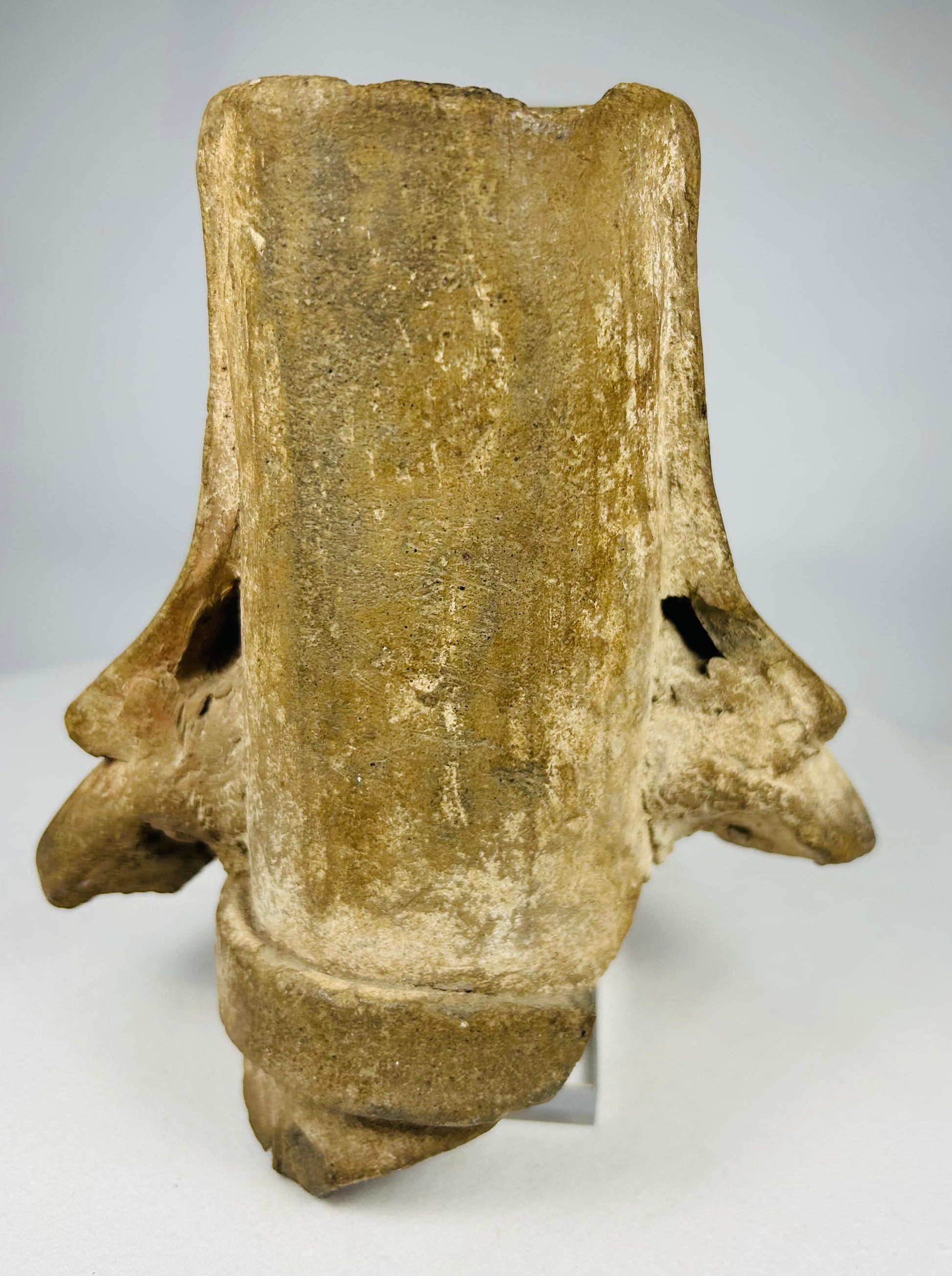 Pre-Columbian ceremonial terracotta head showing elite headdress