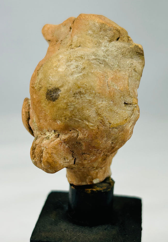 Museum-quality terracotta head fragment showcasing classical styling, realistic expression, and archaeological authenticity.