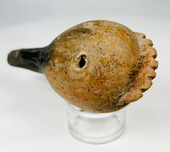 Ceremonial clay rattles from the Pre-Columbian Americas showing mineral encrustation and archaeological wear.