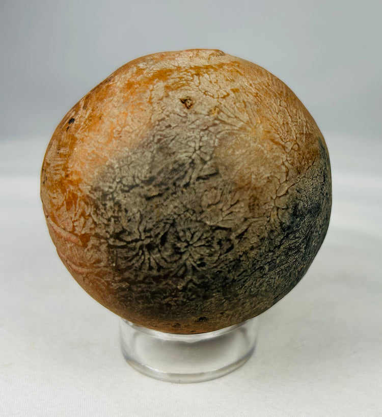 Detail view of Pre-Columbian terracotta rattle showing firing irregularities and mineral deposits.