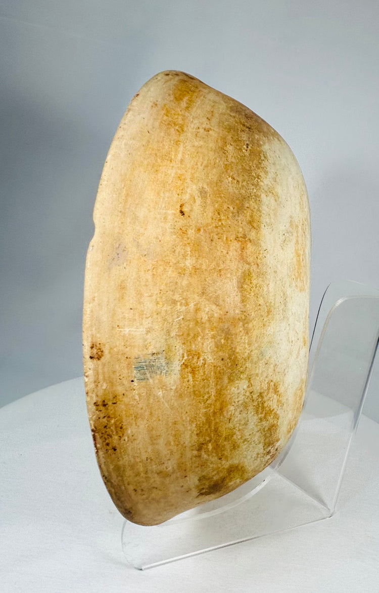 Authentic Pre-Columbian bowl featuring shallow profile, mineral accretion, and archaeological surface wear.