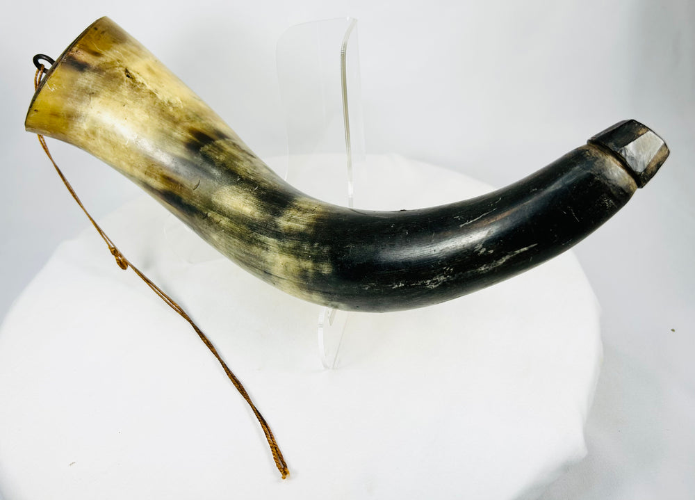 Early firearms powder horn showing natural curvature and aged horn patina