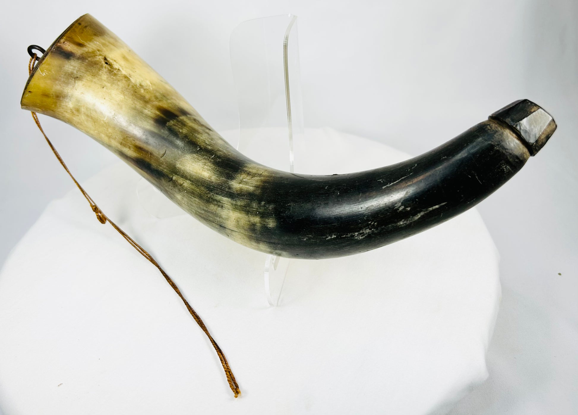 Early firearms powder horn showing natural curvature and aged horn patina