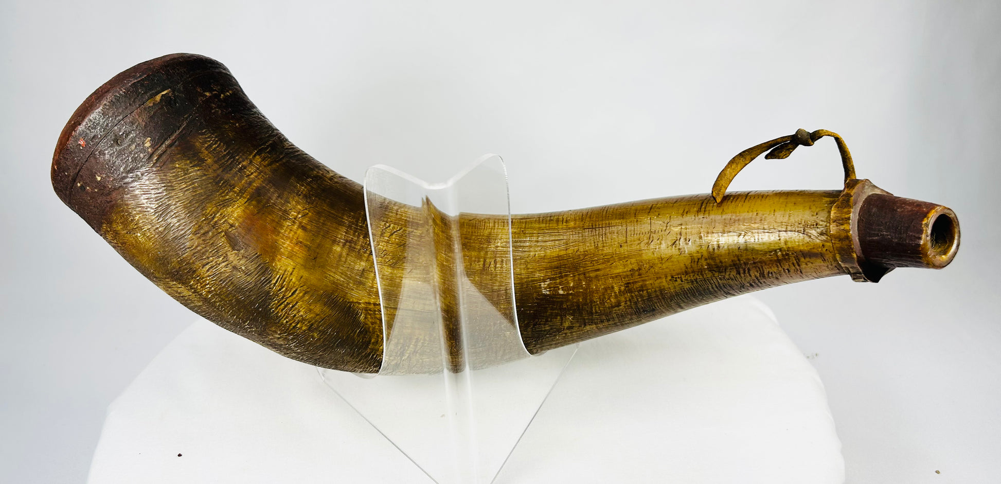 Naturally curved powder horn used for black powder storage