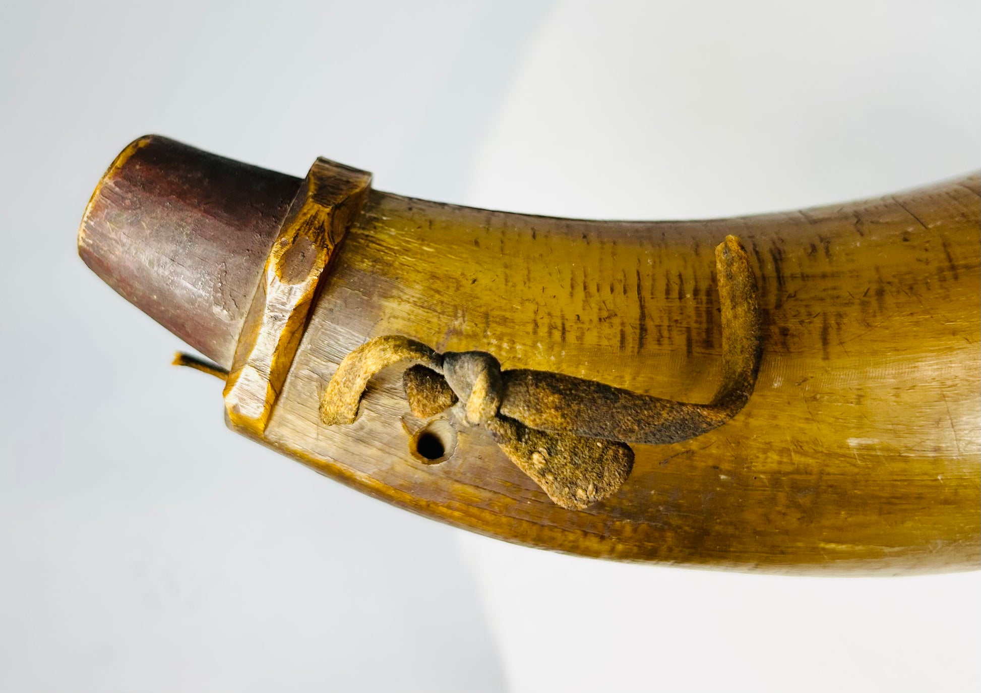 Museum-marked powder horn showing traditional horn craftsmanship