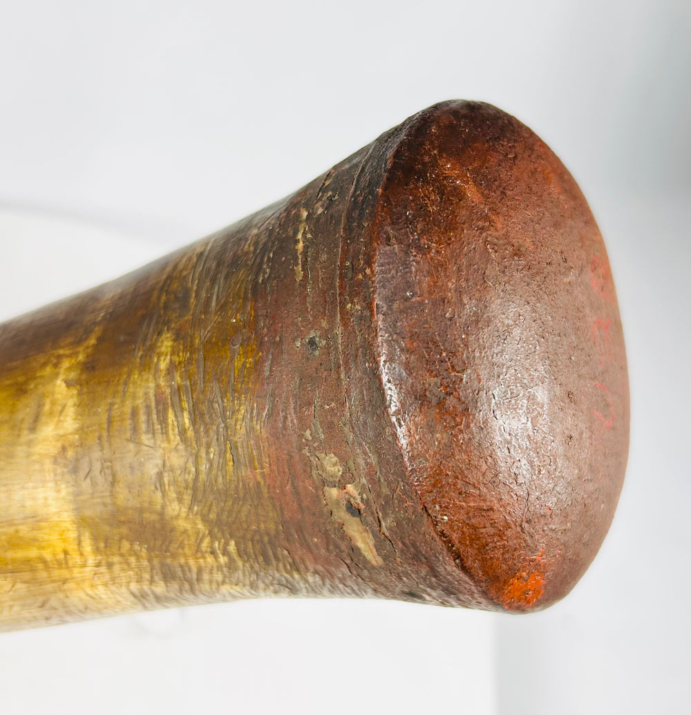 Antique powder horn displaying natural horn coloration and wear
