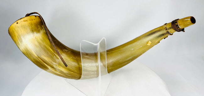 Naturally curved antique powder horn with museum collection label