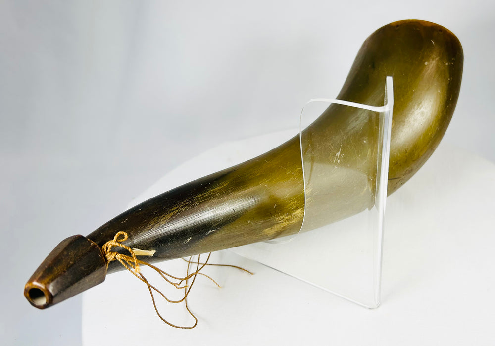 Detail of natural horn surface with age-related striations and patina