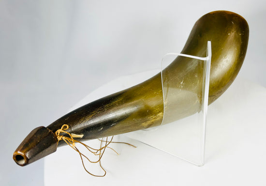 Detail of natural horn surface with age-related striations and patina