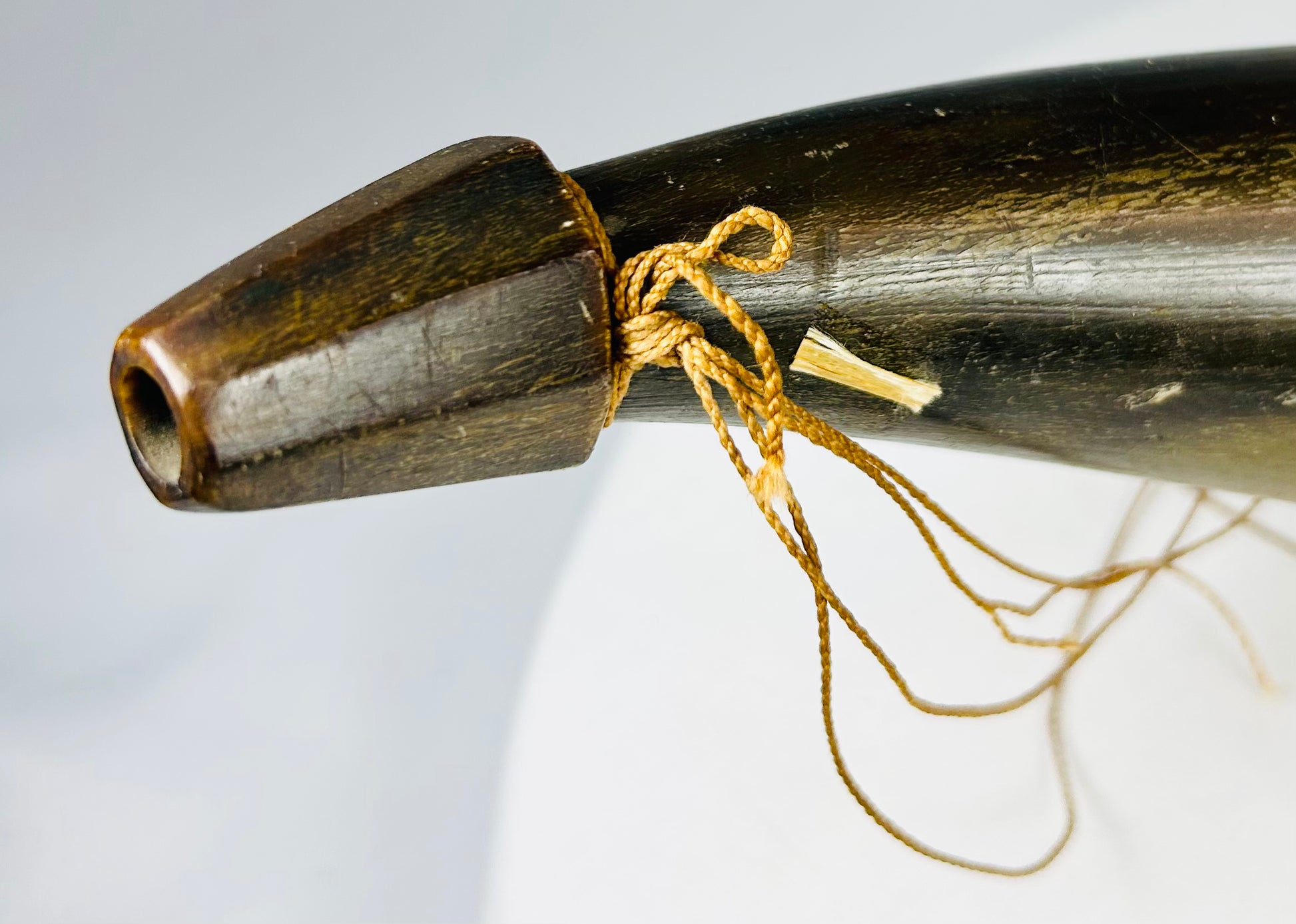 Antique horn powder container with original components intact