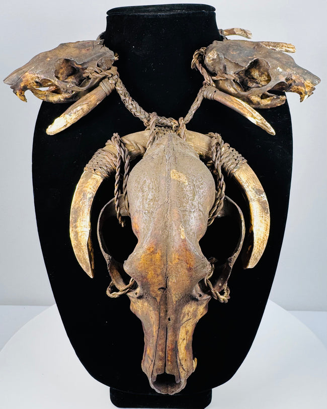 Animal skull necklace with a large central skull, two smaller skulls, curved teeth, and braided twine against a beige background.