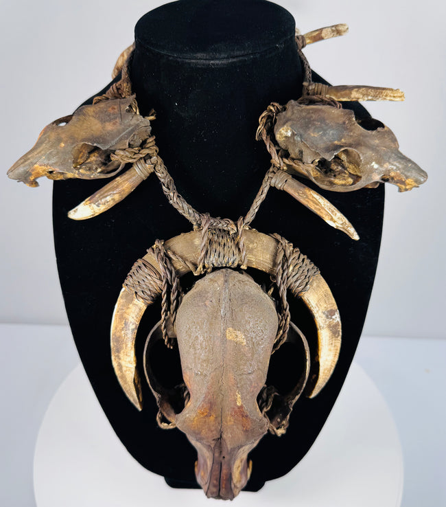 Animal skull necklace showing weathered bone, visible cranial seams, and tightly wrapped twine securing paired curved teeth.