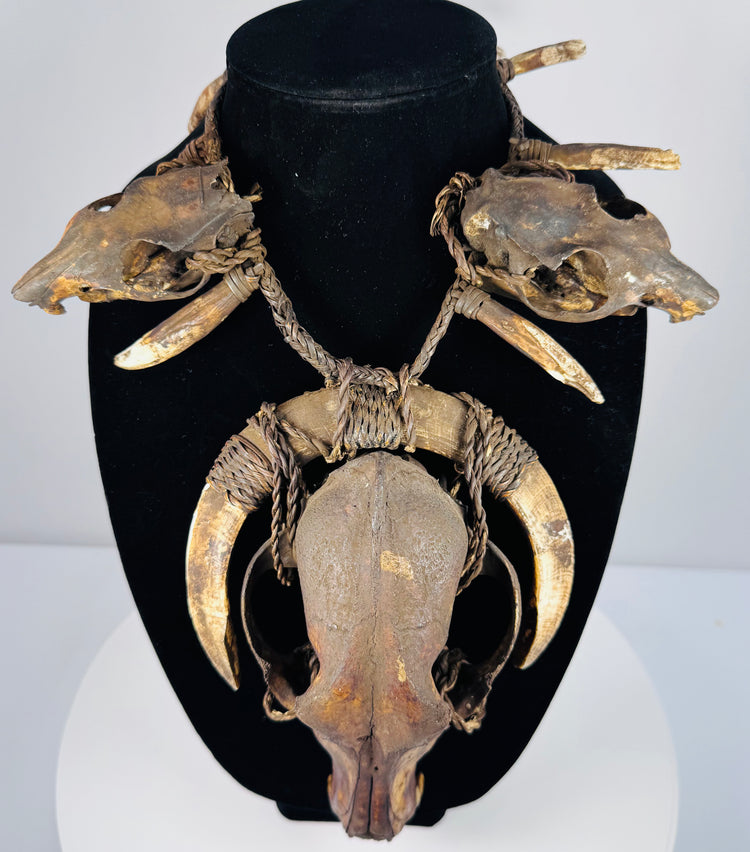 Animal skull necklace showing weathered bone, visible cranial seams, and tightly wrapped twine securing paired curved teeth.