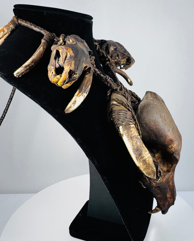Skull and tooth necklace displaying paired eye sockets, a narrow muzzle, and contrasting pale teeth against black velvet.