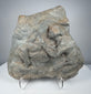 Roman volcanic tuff relief fragment with weathered Classical figures and ancient stone patina