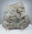 Ancient Roman carved stone relief depicting two Classical figures in deeply weathered volcanic tuff