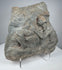 Classical Roman figural relief fragment with surviving drapery and sculptural details carved in volcanic tuff