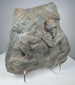 Classical Roman figural relief fragment with surviving drapery and sculptural details carved in volcanic tuff